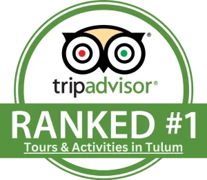 Tripadvisor ranked number 1 logo.