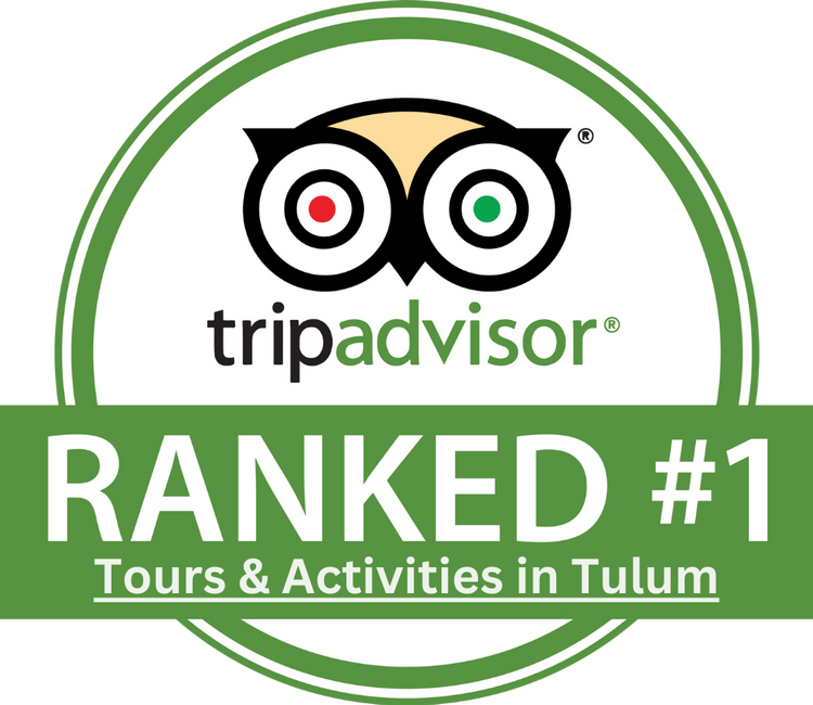 Tripadvisor ranked number 1 logo.
