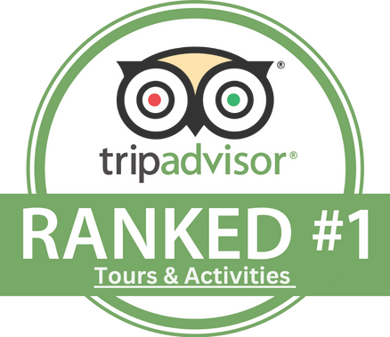 Tripadvisor ranked number 1 logo.