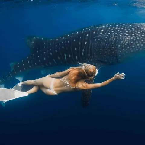 A young, slim woman experiencing an impressive moment swimming alongside a whale shark during the Whale Shark Tour Cancun.