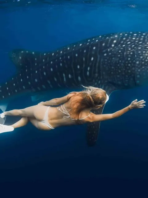 A young, slim woman experiencing an impressive moment swimming alongside a whale shark during the Whale Shark Tour Cancun.