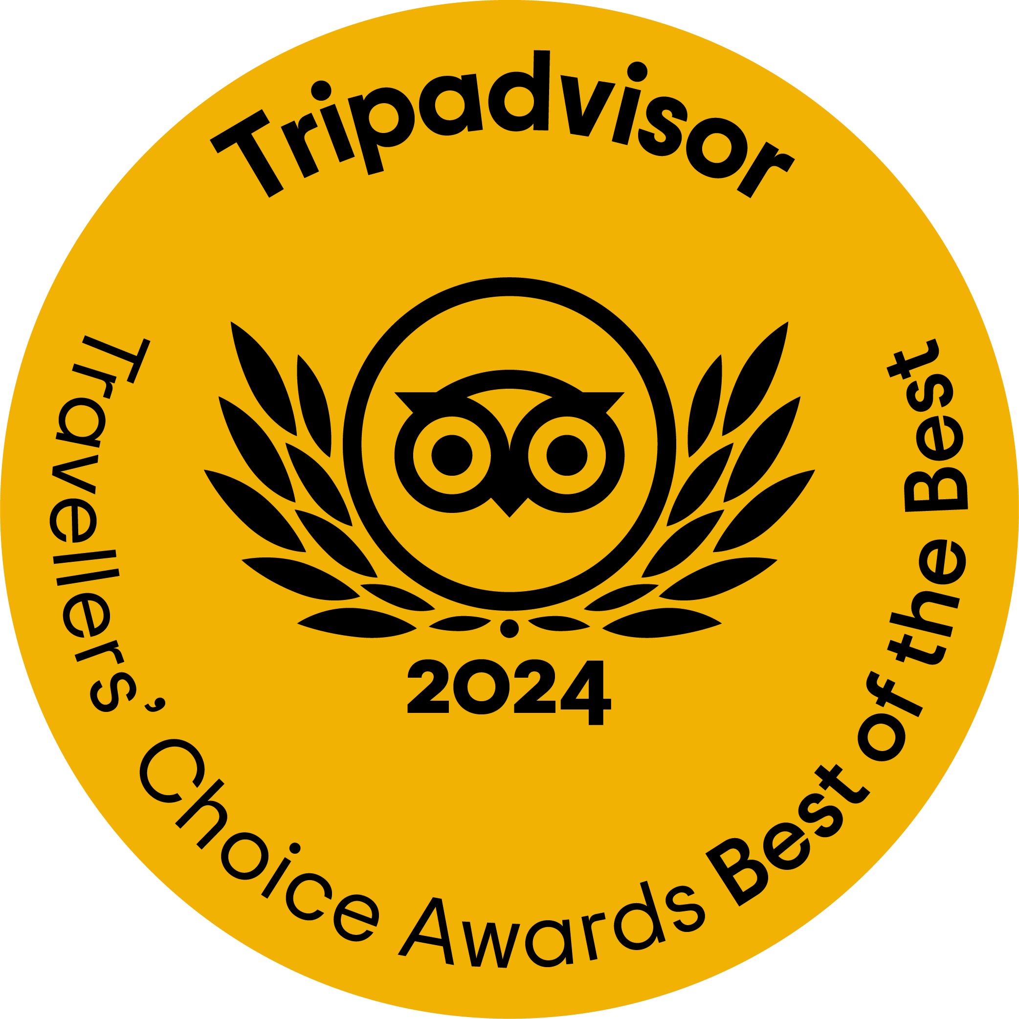 Logo of the Travelers' Choice Awards with the year 2024 prominently displayed, symbolizing excellence in travel.