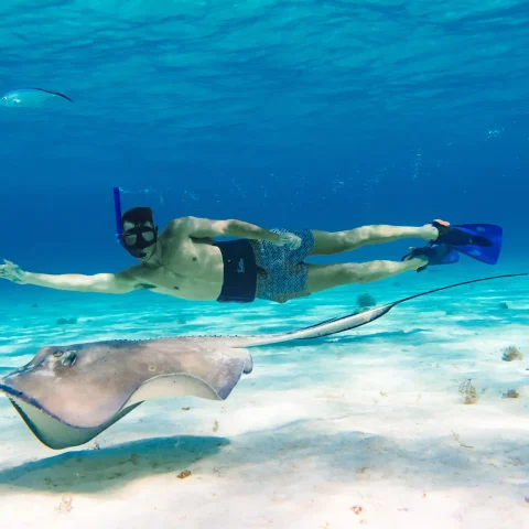 El Cielo Cozumel Tour