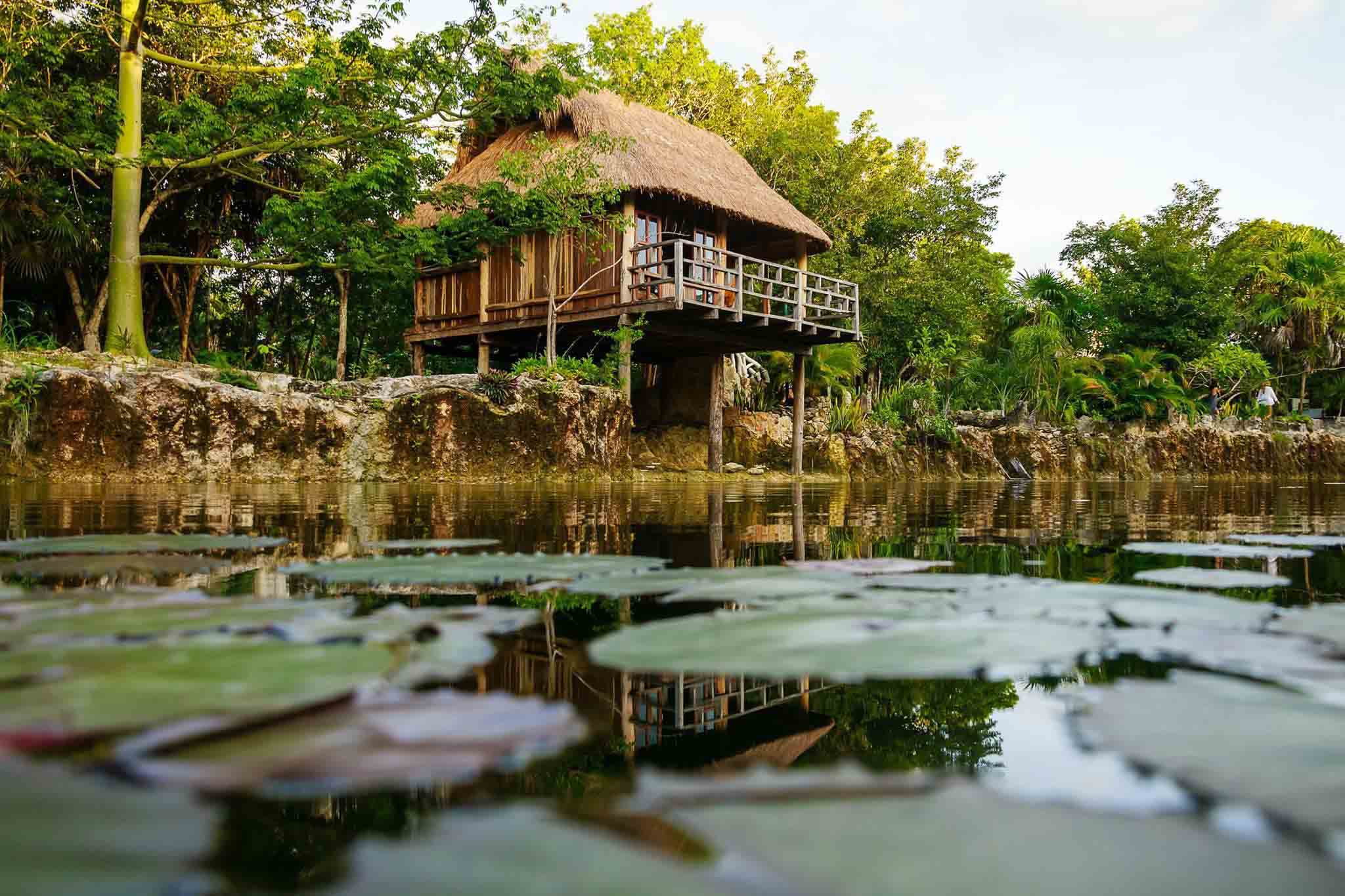 Jungle cabana in Tulum facing an open cenote, surrounded by lush greenery.