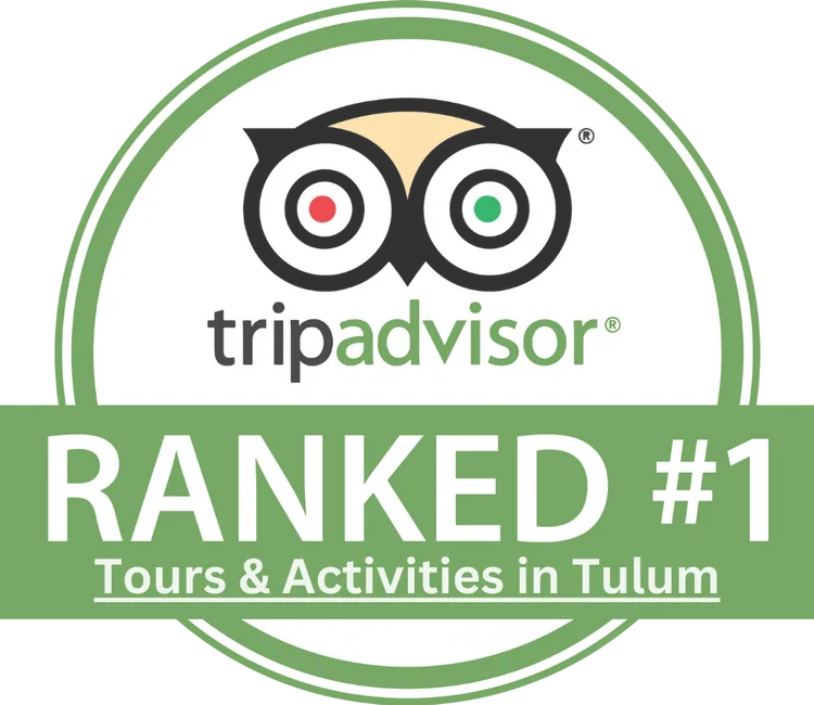 Tripadvisor ranked number 1 logo.