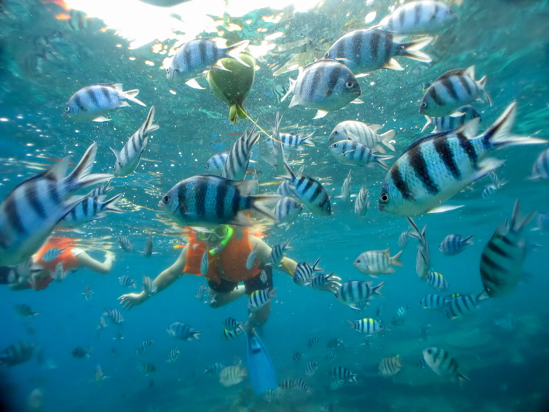 An ancient Mayan ruin in Tulum perched on rocky terrain, surrounded by lush green tropical plants and palm trees, under a bright blue sky.