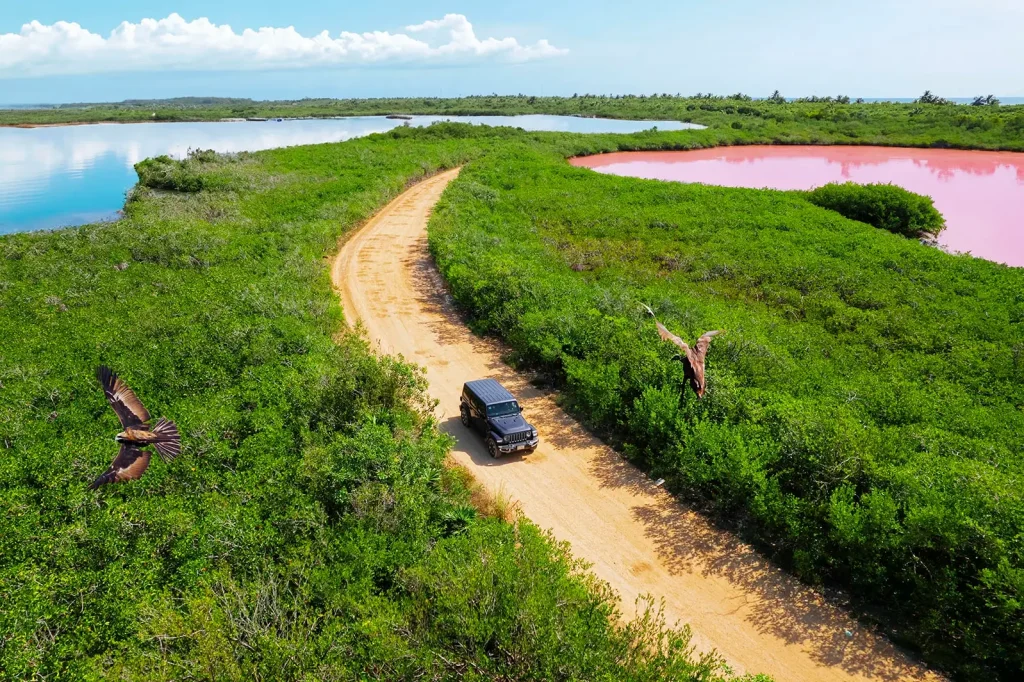 A black jeep drives along a sandy road through lush greenery and colorful lagoons during a scenic jeep tour adventure.