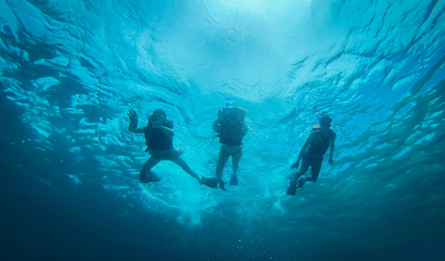 Three young people snorkeling in the vibrant blue ocean during their Sian Ka'an Private tour.