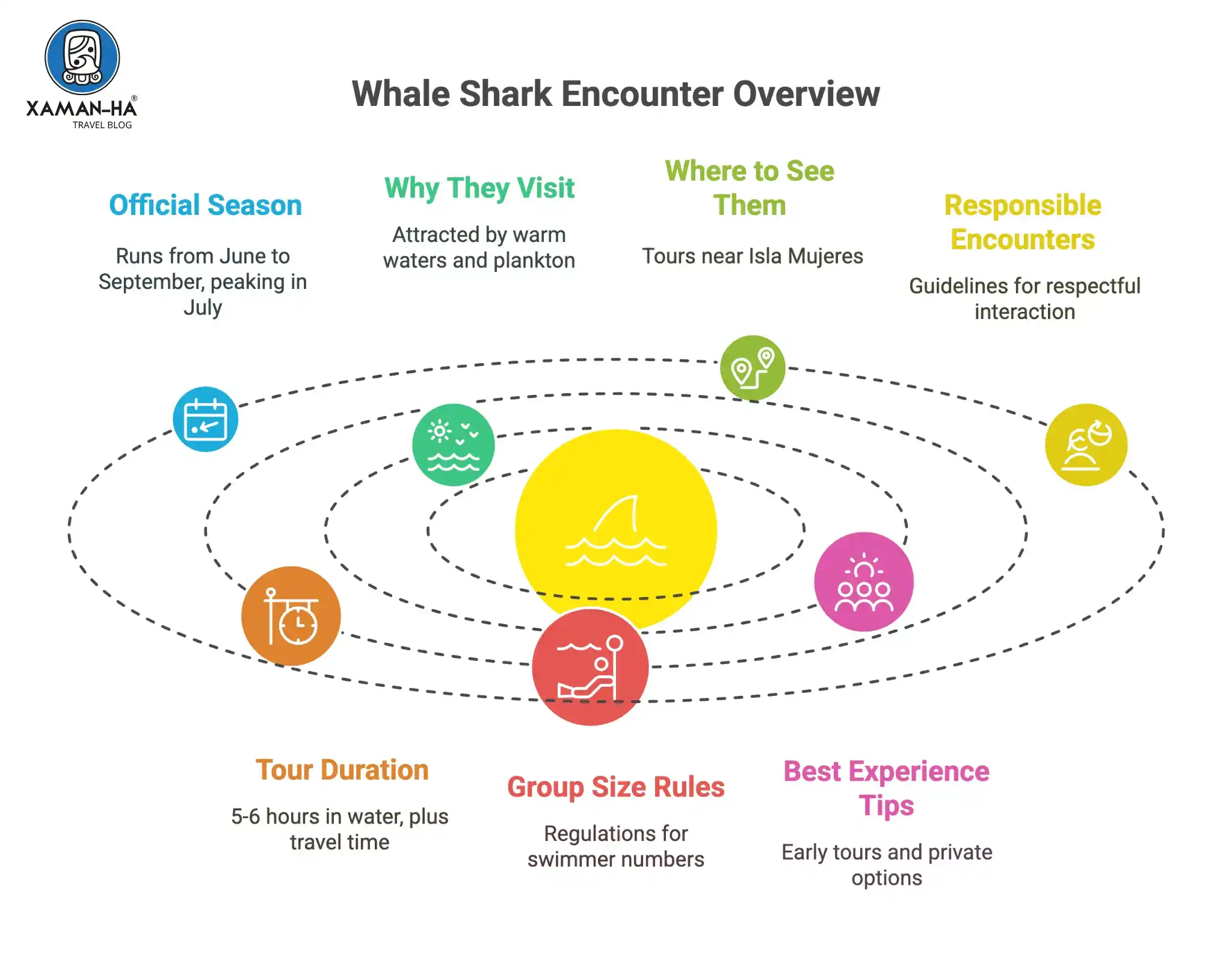 Infographic outlining whale shark tour information in Cancun.