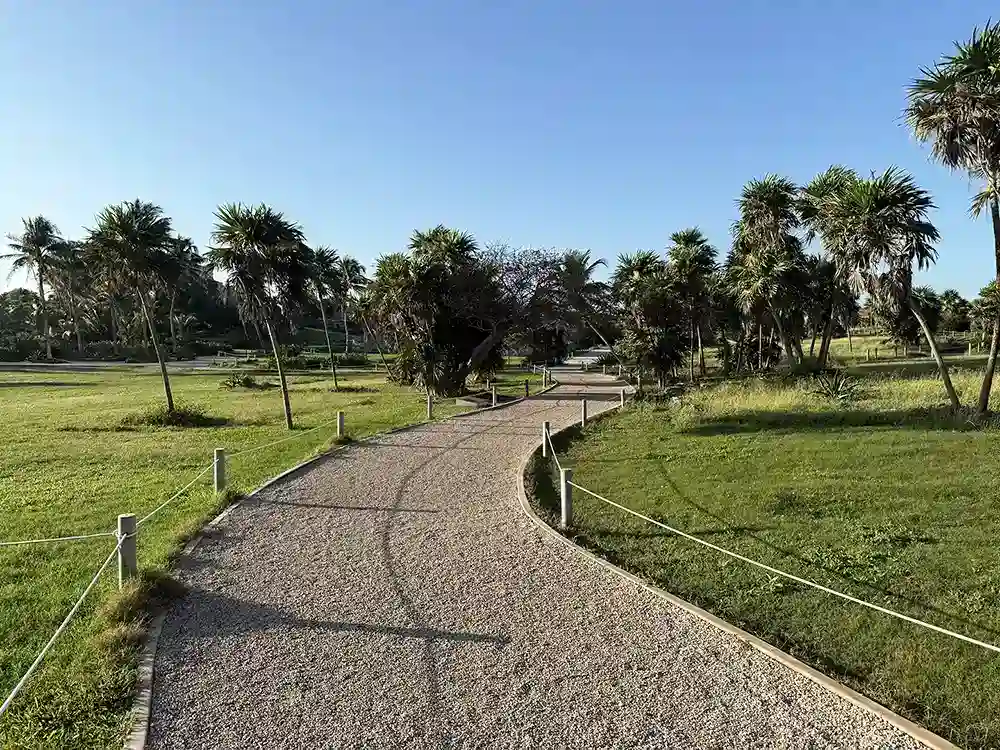 Curved gravel path surrounded by tropical palm trees and green grass at the Tulum archaeological site.