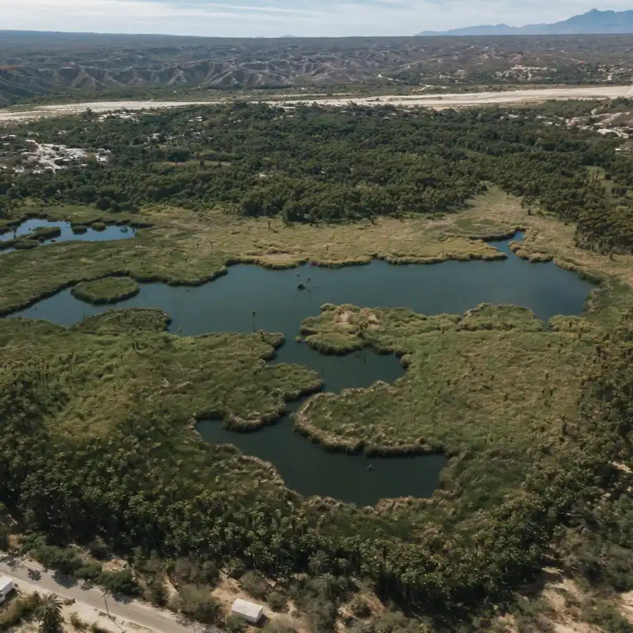 Aerial view of Santiago oasis near Fox Canyon, Los Cabos,