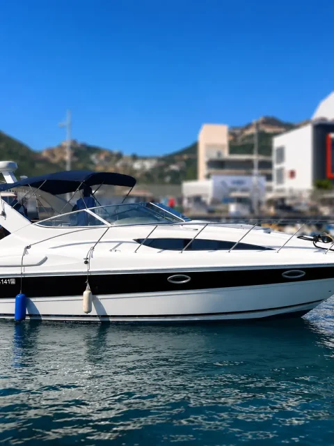 Yacht docked at the marina with a cormorant resting nearby.