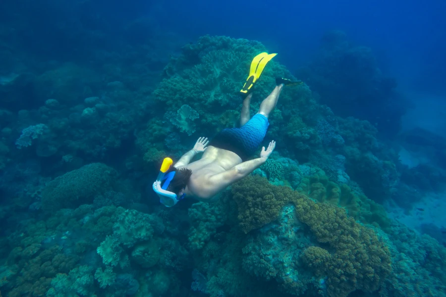Snorkeling in the Sea of Cortez exploring coral reef and marine life near Cabo San Lucas.