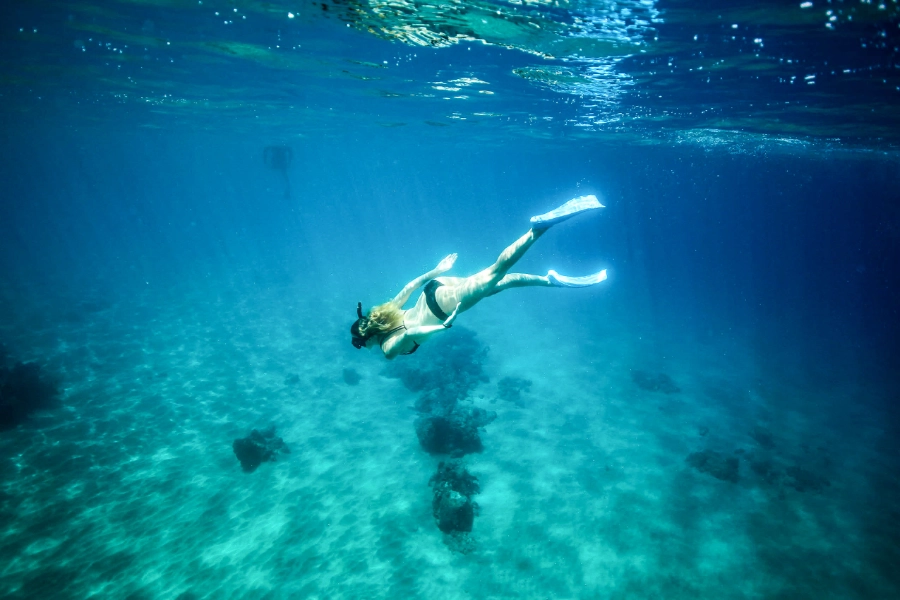 Guest snorkeling in the clear waters of the Sea of Cortez during a private catamaran Cabo San Lucas sailing tour.