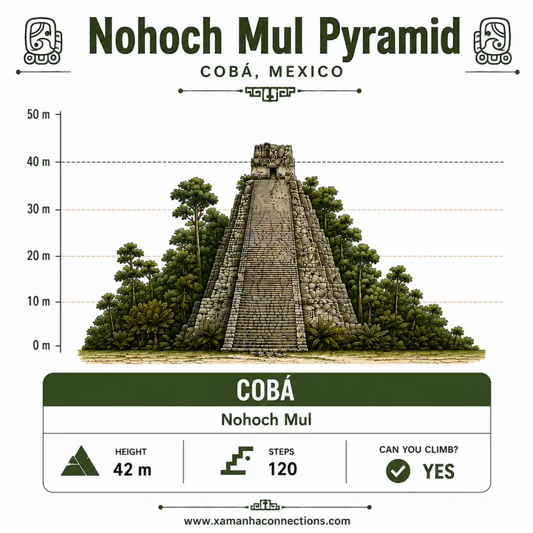Nohoch Mul Pyramid at Coba: 42 m tall, 120 steps, open for climbing