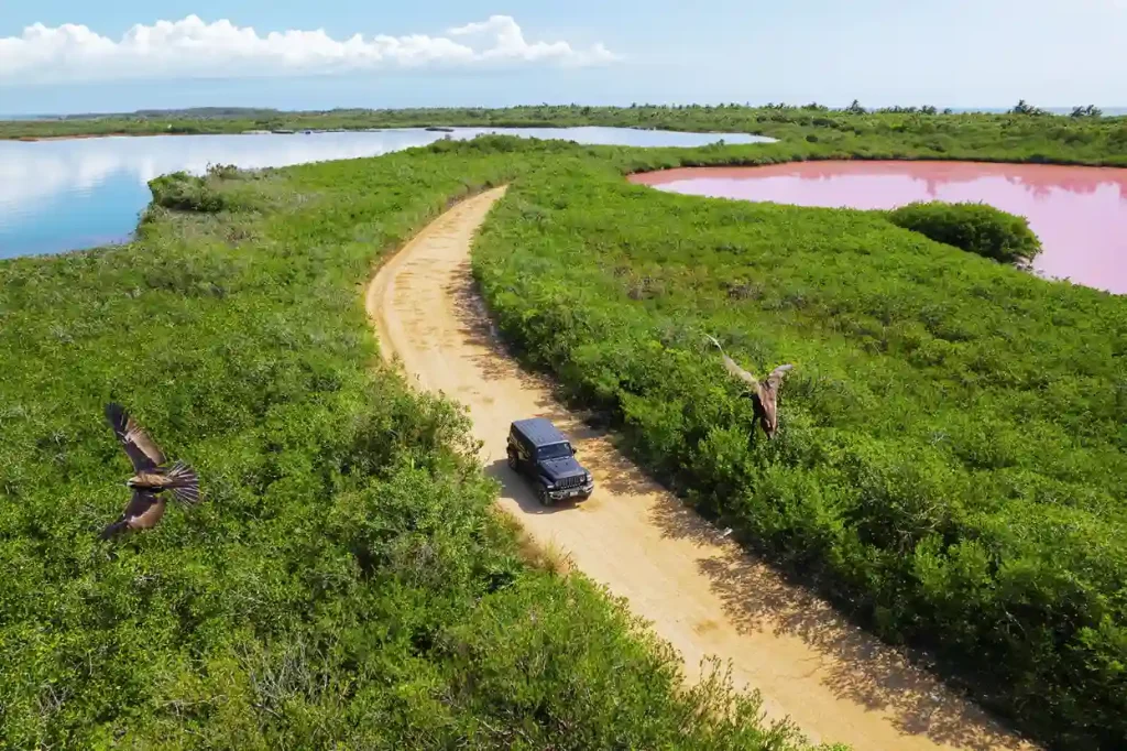 Aerial view of a Jeep driving through the Sian Ka'an Biosphere surrounded by pink lagoons.