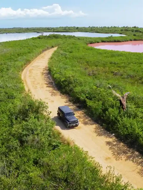 Aerial view of a Jeep driving through the Sian Ka'an Biosphere surrounded by pink lagoons.