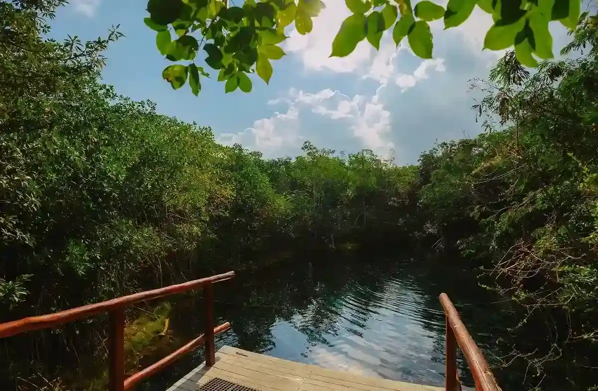 Private cenote platform used by tourists to jump during tours.