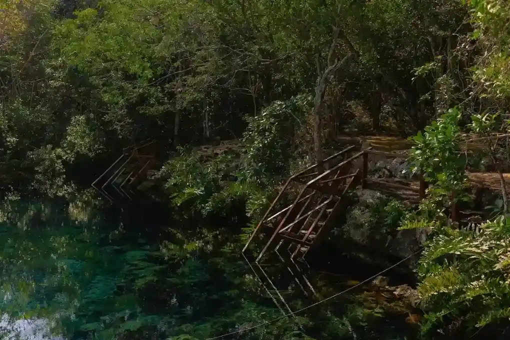 Access cenotes through the jungle via rustic stairs and crystal-clear water.

