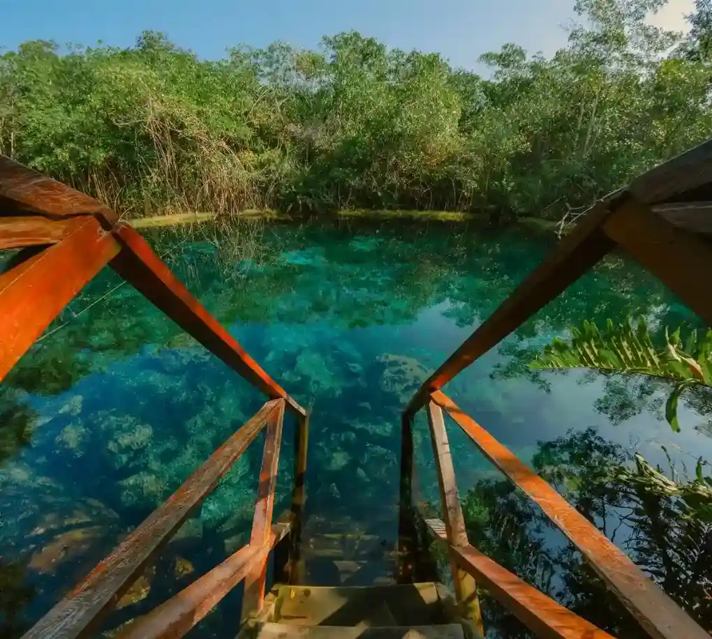 A wooden staircase leads into a vibrant, open cenote surrounded by nature.
